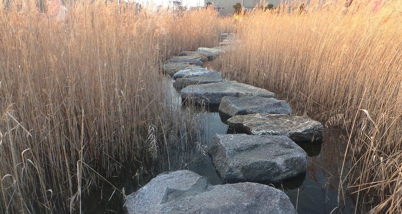 Moss-Covered Stepping Stones